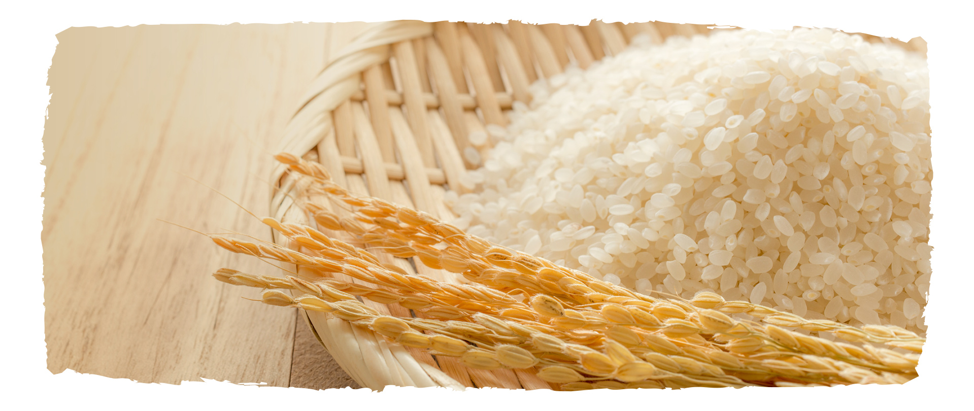 有限会社サン・ファーム韮神 韮神や