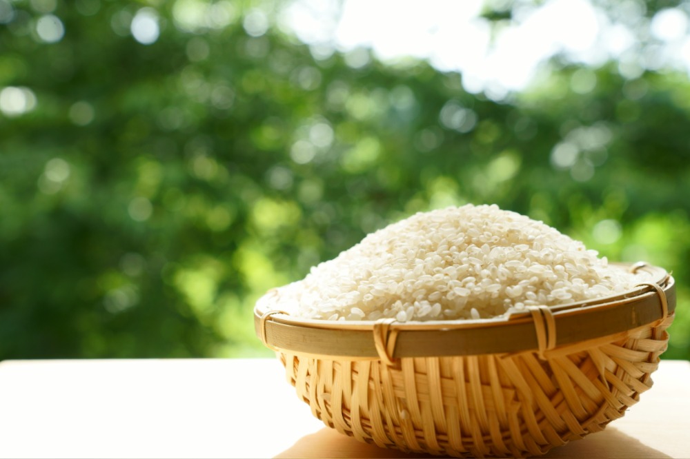 米から考える、麺づくり