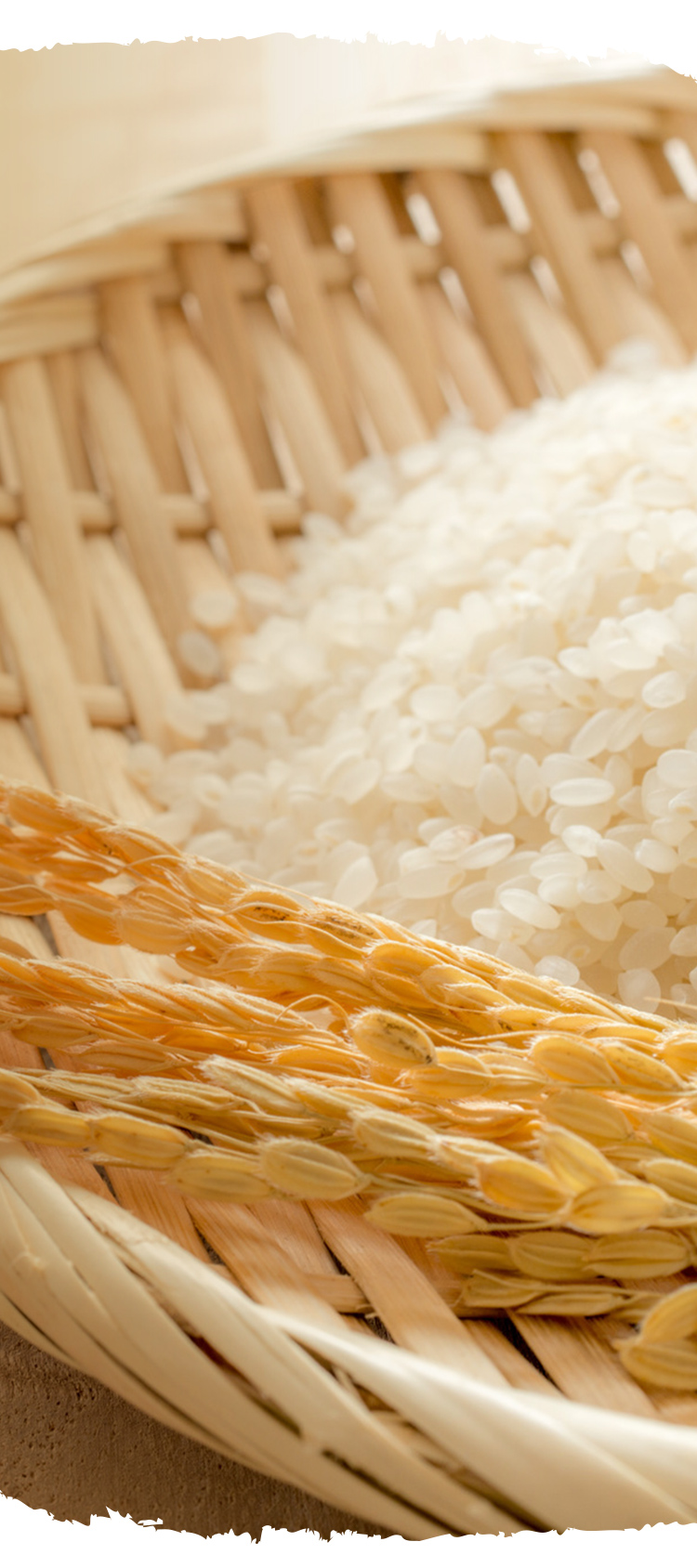 有限会社サン・ファーム韮神 韮神や